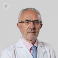 Dr. Vicente Guillem Porta