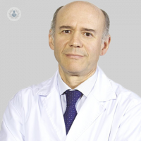 Dr. Jesús Ramón García Martínez