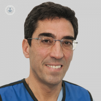 Dr. Julián Pérez-Villacastín Dominguez