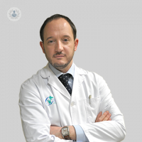 Dr. José María Torres Campa-Santamarina