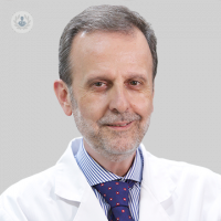 Dr. Pedro Gamboa Setien