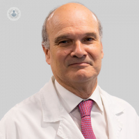 Dr. Rafael Castejón Huete