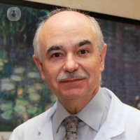 Dr. José Vicente Roig Vila