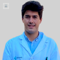 Dr. Miguel Lizcano Palomares