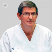 Dr.Prof. Luis Bujanda Fernández de Piérola