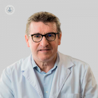 Dr. Ander Zulaica Garate