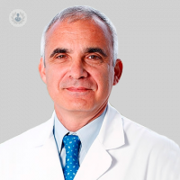 Dr. Rafael Navarro
