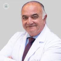 Dr. Rafael Vega Cid