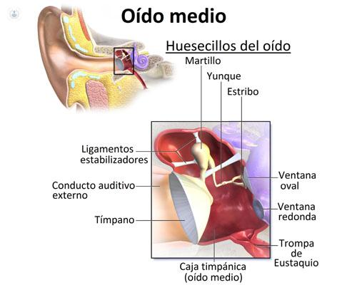Plisado en cualquier sitio Canciones infantiles Cirugía del oído medio: qué es, síntomas y tratamiento | Top Doctors