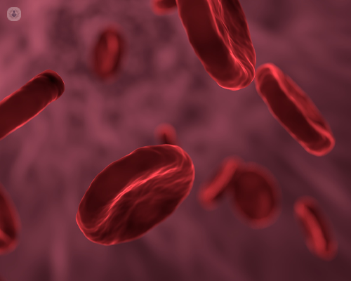 Primer plano de partículas sanguíneas - Deshidroepiandrosterona sulfato | by Top Doctors