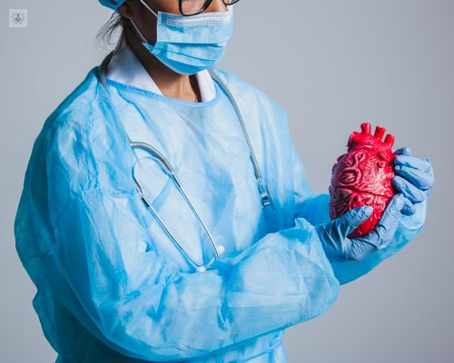 Doctora sujetando una maqueta de un corazón - Cardiología preventiva - by Top Doctors