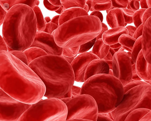 Primer plano de los hematíes o glóbulos rojos - anemia - hematologia - by Top Doctors